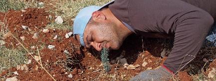 CrowtherLab's tweet photo. Key lessons from the #Shouf Biosphere Reserve, Lebanon
- use pilot sites to bring stakeholders on board
- economic, social & ecological benefits should go hand-in-hand
- restoration is an iterative process (learning by doing)
https://t.co/HMMeRx5zTO #restories #forestrationints https://t.co/vIMNnD5qK3