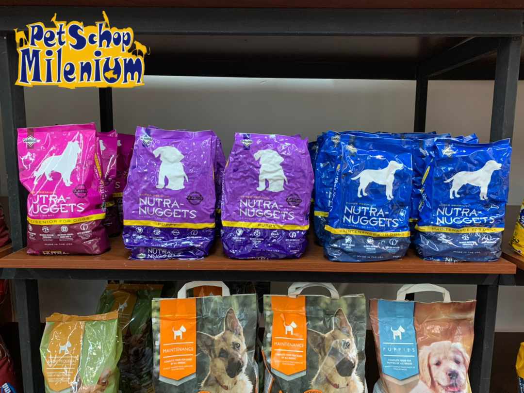 Tienda de Mascotas tweet media