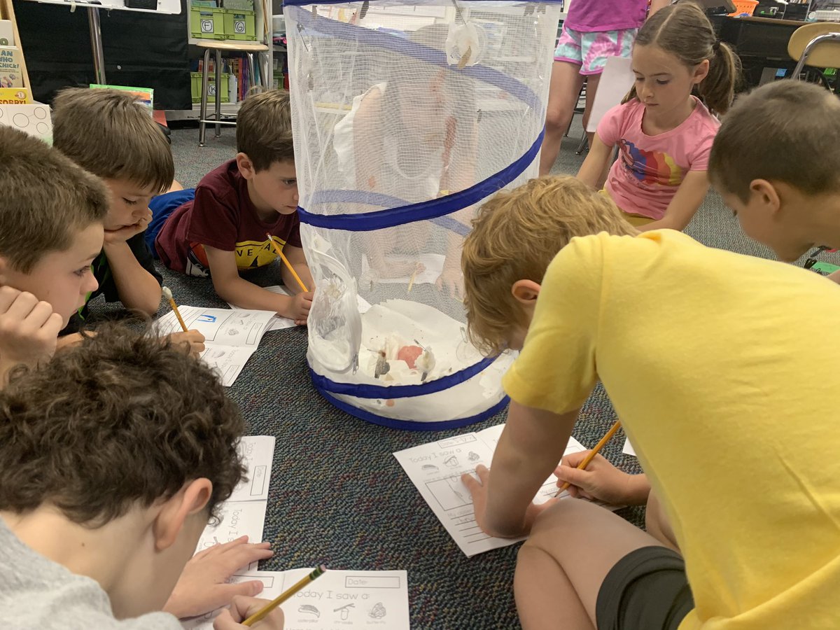 It’s an exciting day in Room 112…We have butterflies!