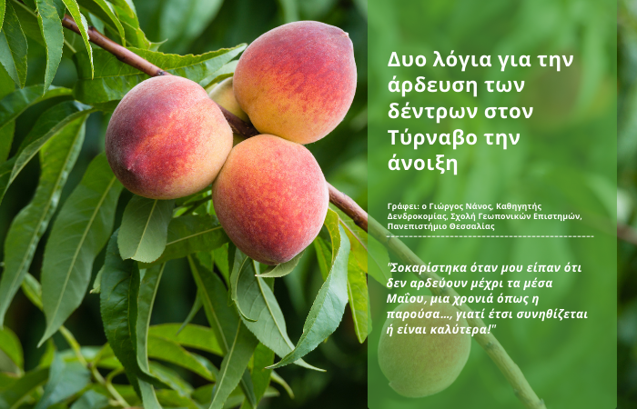 💧 Σωστή άρδευση | Ο οδηγός για την επιτυχία
Διαβάστε περισσότερα στο Εβδομαδιαίο #Newslleter της #FARMACON
mailchi.mp/d7e2de77b1cc/j…