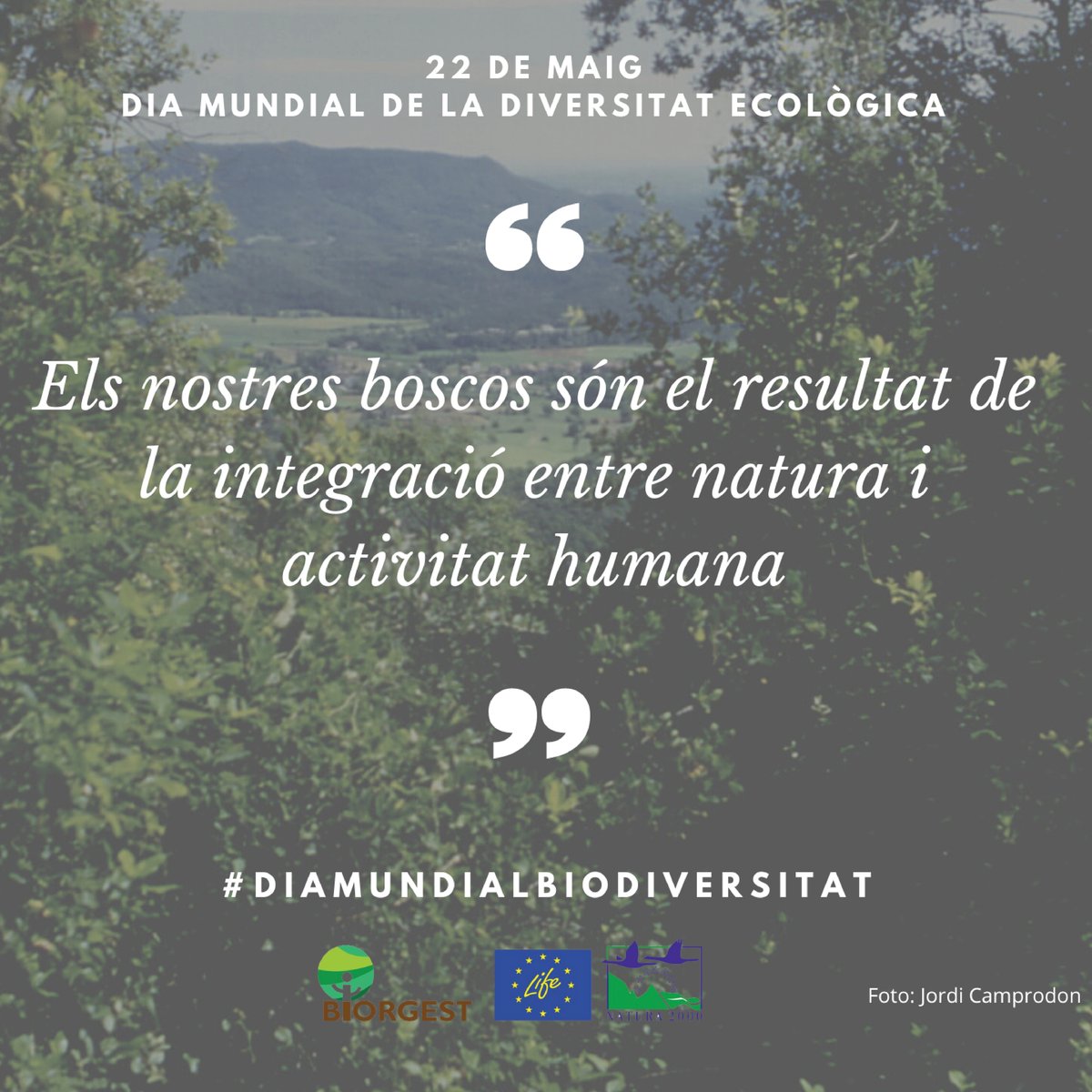 LifeBiorgest's tweet photo. #DiaMundialBiodiversitat
#Biodiversitat
#LifeBiorgest https://t.co/fnExDB70HE
