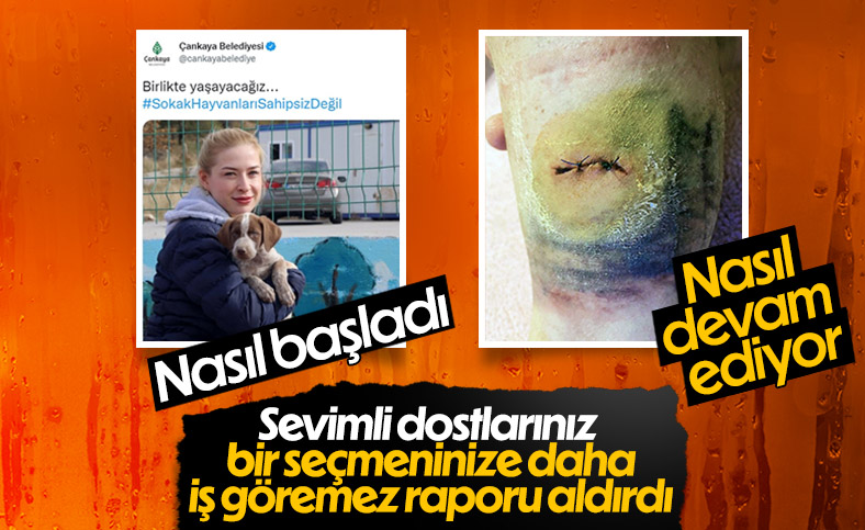 ENSONHABER tweet media