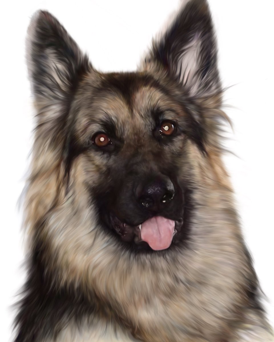 Digital_Rose_'s tweet photo. Doggo commission 💕
-
App used #Procreate 
Time taken - 22h 40m
-
Likes and reshares are appreciated 💕
#art https://t.co/v1TNylzmBA
