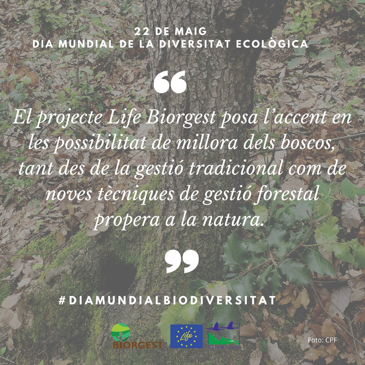 cfcatalunya's tweet photo. #DiaMundialBiodiversitat
#Biodiversitat
#LifeBiorgest https://t.co/AFLXbuh7Mx