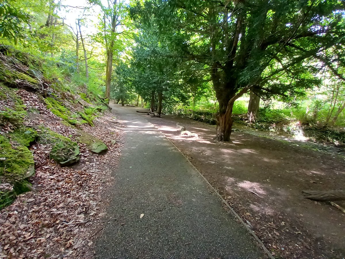Meltham Pleasure Grounds is one of our latest Parks improvement projects. 

We think it's looking like a great place to play 🤩 and we've had loads of positive comments from residents in #Meltham

Why not drop by for a visit?