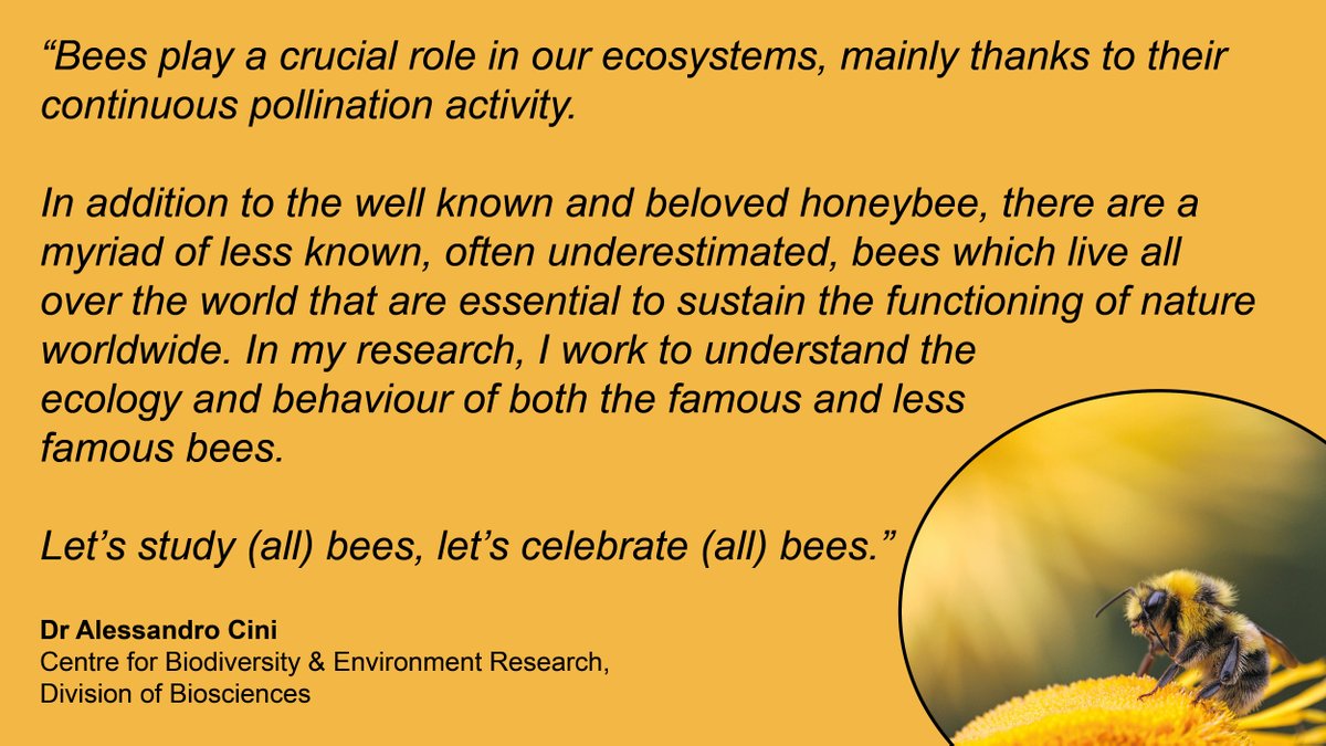 UCL Faculty of Life Sciences (@ucllifesciences) on Twitter photo To celebrate #WorldBeeDay we caught up with Dr Alessandro Cini to hear about some of their research
<a href="/CiniAles/">Alessandro Cini</a> To celebrate #WorldBeeDay we caught up with Dr Alessandro Cini to hear about some of their research
<a href="/CiniAles/">Alessandro Cini</a>