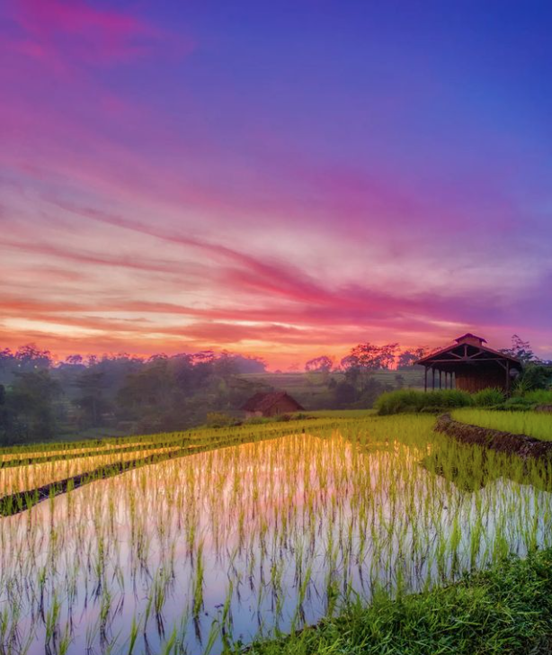 JetCandyTravel's tweet photo. We love the colours of this almost ethereal image taken in Mojokerto, East Java, by @Gamblis_LLP - a place to truly gain clarity and composure. Beautiful! #JetCandy #Travel #TravelPhotography #DiscoverTheWorld https://t.co/K6W9vTI285