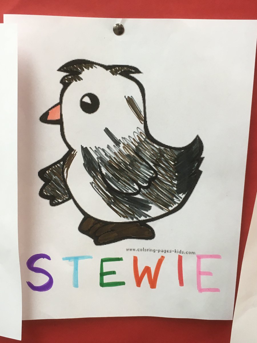 MrShepherdIKE's tweet photo. Portraits of "the girls"! #librarychickens https://t.co/BwPGebdbRH
