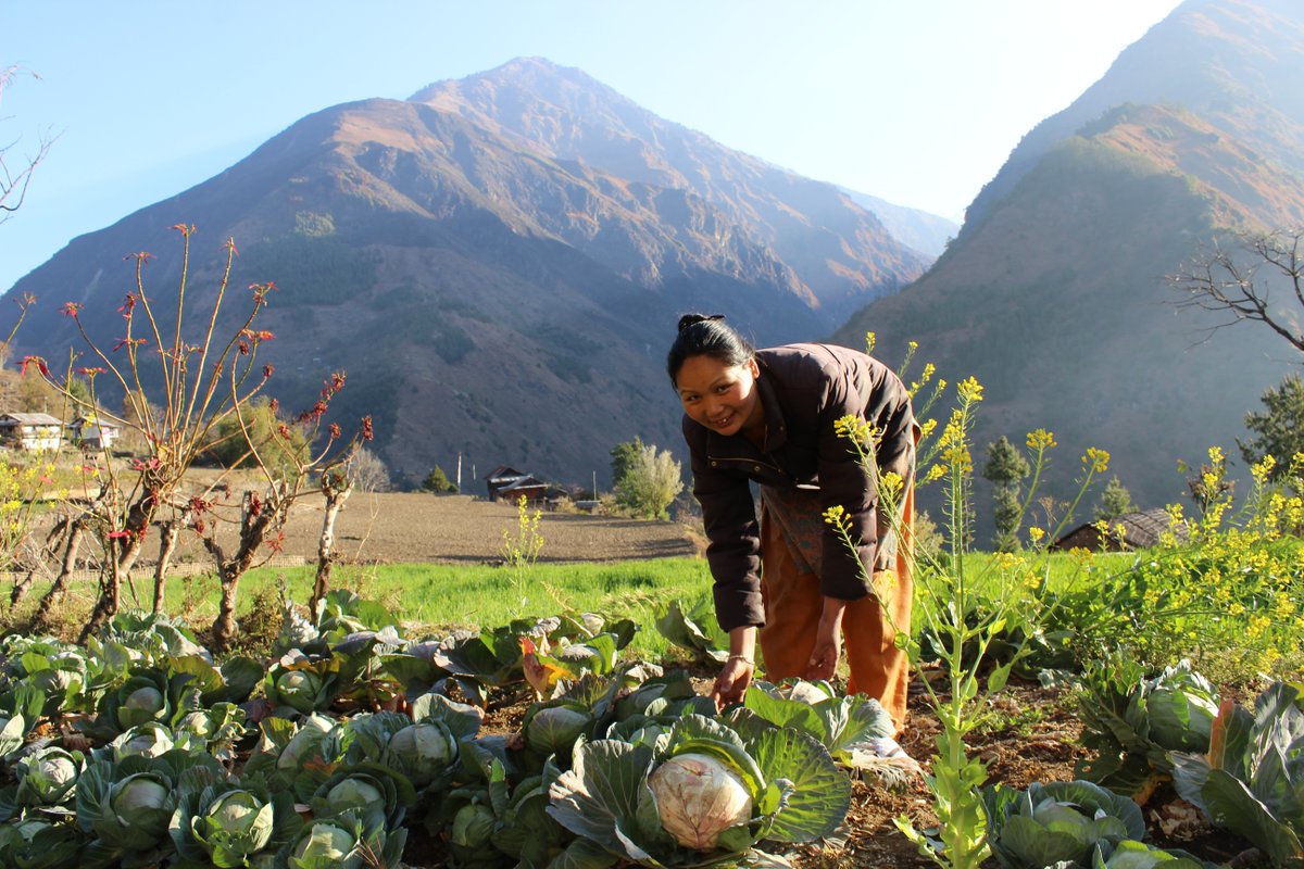 USAID’s #biodiversity programming fights the #climatecrisis by conserving critical ecosystems that increase carbon storage &amp; reduce #GHG emissions. Learn more: usaid.gov/what-we-do/env…