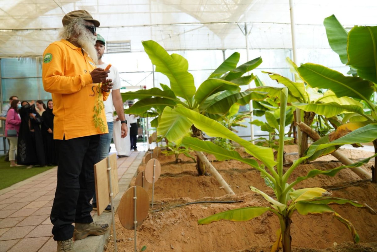 SadhguruJV's tweet photo. Wonderful to visit the @emiratesbiofarm. A testament to the progressiveness of the UAE government &amp; its potential to bring about tremendous change to this nation and the region. #SaveSoil. Let us make it happen. -Sg @MoCCaEUAE @mariammalmheiri #SaveSoilDubai https://t.co/nVovxHWbVk