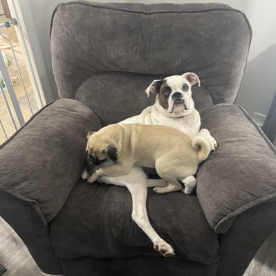 ruffput's tweet image. #NewProfilePic