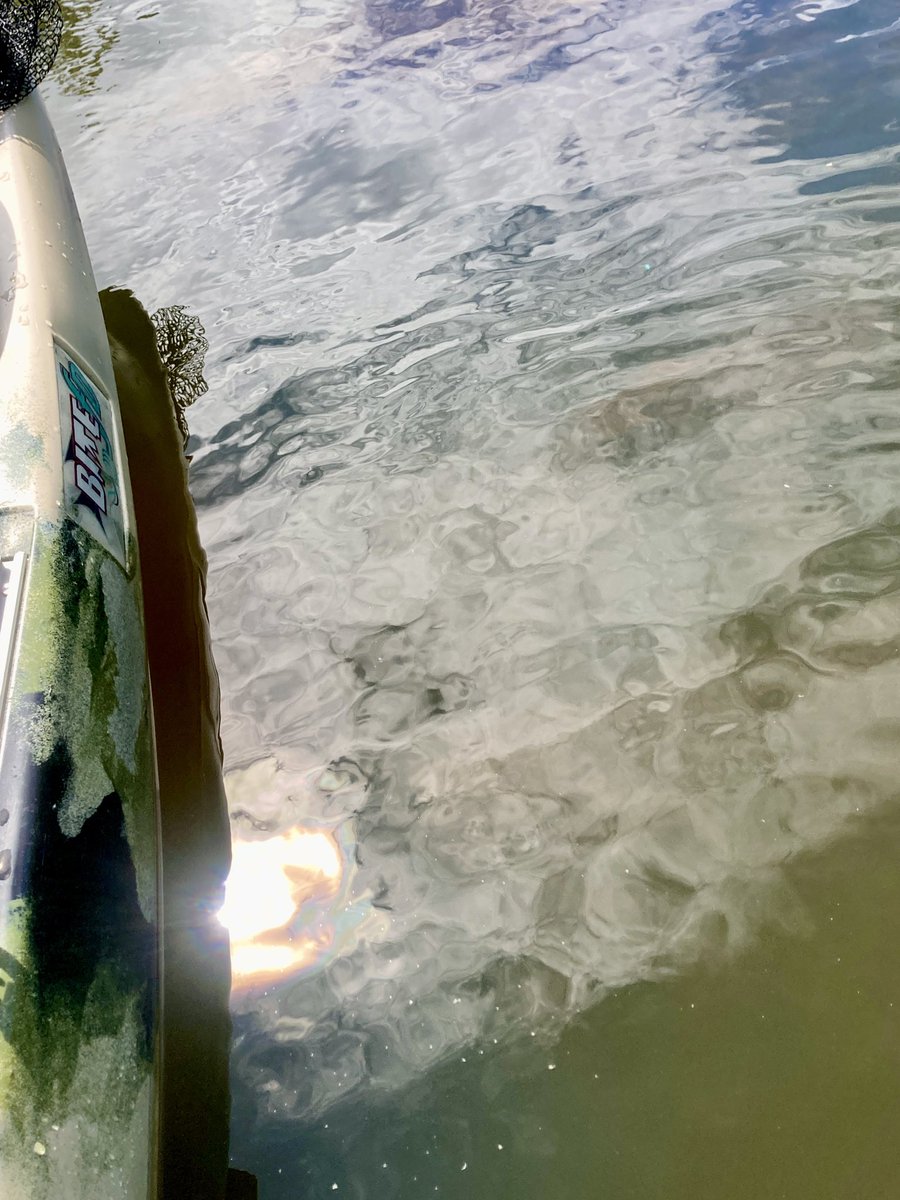 miacalva's tweet image. Set the Controls for the Heart of the Sun.
#JacksonBiteFD #PinkFloyd #kayakfishing