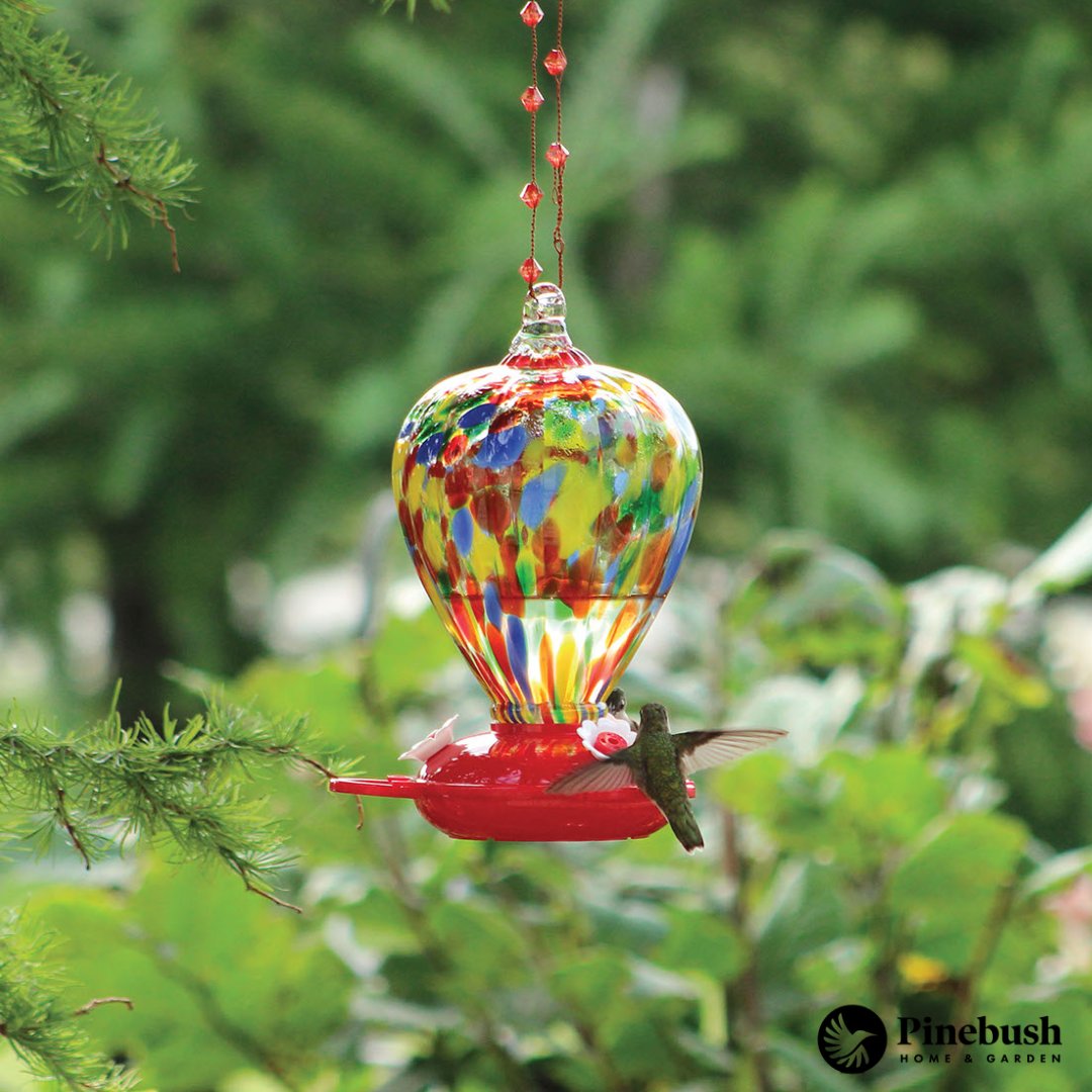 Pinebushhg's tweet photo. A feeder fit for a Hummingbird. 👑

With its large 32 oz capacity and bright, beautiful colorations, you can see why it is a favourite with Hummingbirds and Hummingbird lovers. It even has a beautiful beaded decorative wire hanger!❤️

#Pinebush #Hummingbirds #Birds #Birdfeeder https://t.co/lxbdk8vkpe