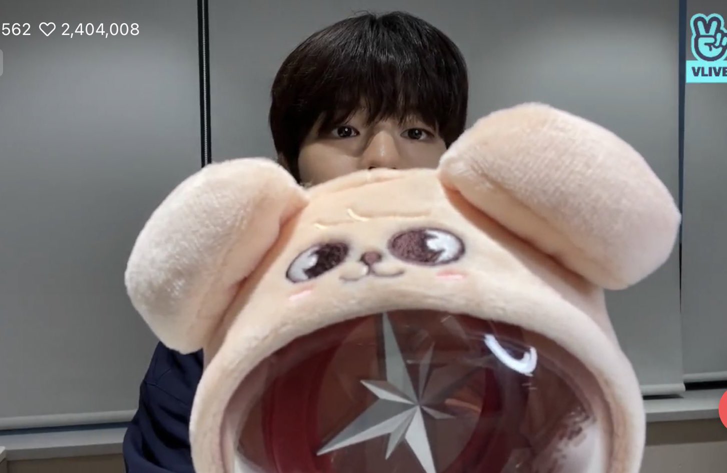 高品質の激安 Kids SKZOO straykids ペンライトカバー パピーム 高品質の激安 Kids SKZOO straykids ペンライトカバー パピーム