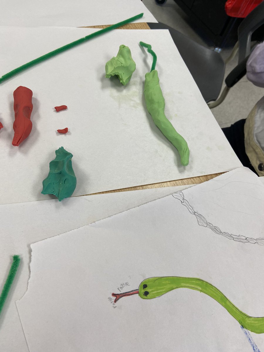Les animaux! Fun Friday #QueenMarySchool #classedefrancais 4eannee