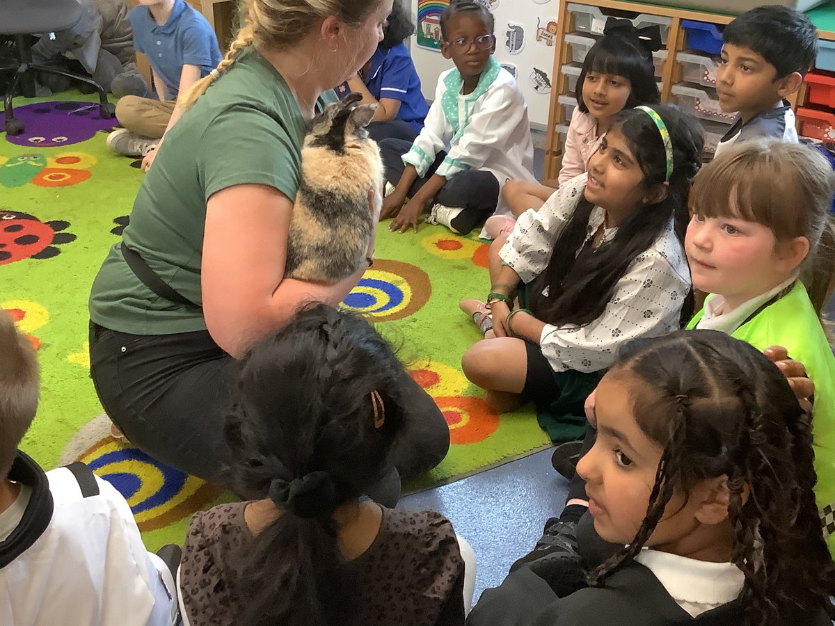 LittleStFrancis's tweet photo. Thank you to Harriet for coming in to see Year 2 as part of our #VocationsWeek. They enjoyed learning about the different things Harriet does to care for lots of God’s creatures - the children loved spending time with Maggie the rabbit too! #CatholicLife #WhatisGodCallingYouToBe https://t.co/mg3pzKdQAx