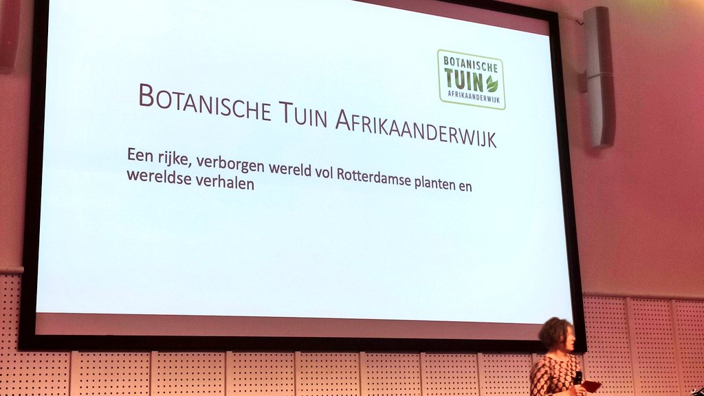 𝗡𝗶𝗲𝗹𝘀 𝗱𝗲 𝗭𝘄𝗮𝗿𝘁𝗲 tweet media