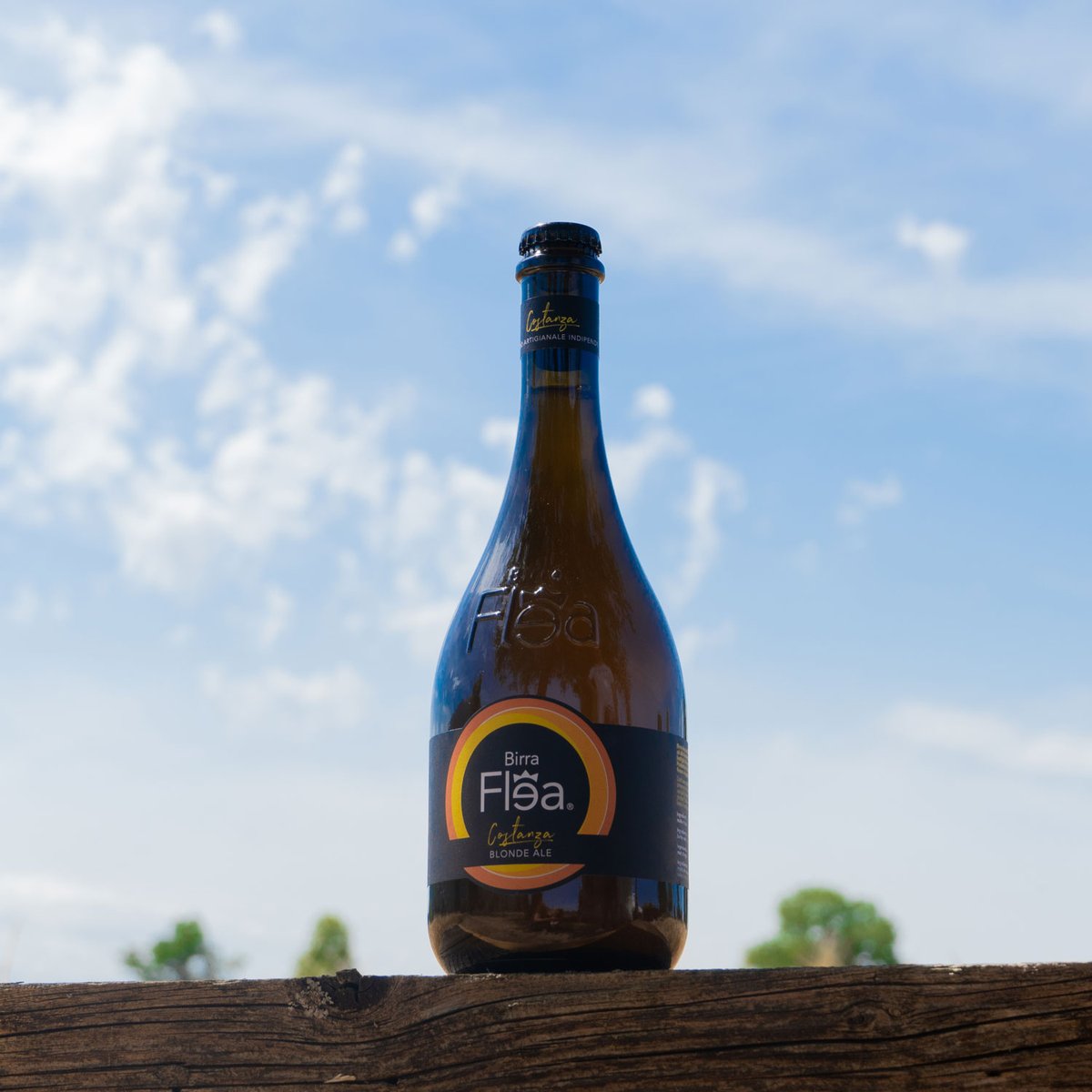 Birra Flea tweet media