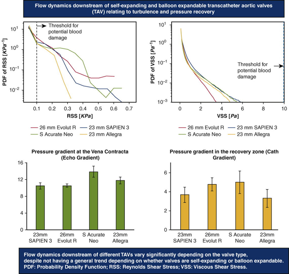 Our latest 📜 on #SE vs #BE #TAVs in @AATSJournals #JTCVSOpen. We checked the flow downstream a SAPIEN3, Allegra, Evolut R and Acurate Neo in relation with #PressureRecovery and blood damage @BiomedMtu @HRI_MTU @ICC_MTU @LPDasi @J_Sathananthan @sellers_steph @VinodThourani