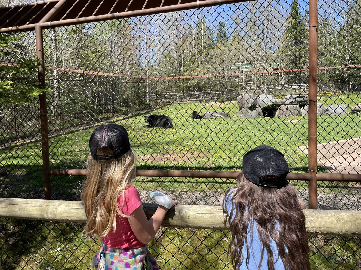 What a great day for our school to visit the Shubenacadie Wildlife Park!! Our first school wide trip in over 2 years!  <a href="/AVRCE_NS/">Annapolis Valley Regional Centre for Education</a> #outdooreducation