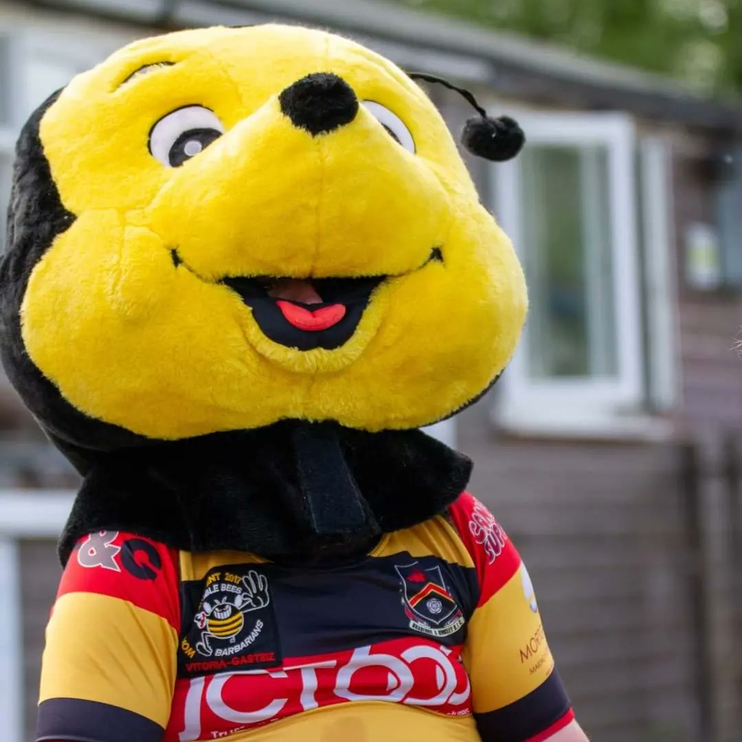 It's "World 'Buzzy Bee' Day"... Here's to our very own Bumblebees Mixed Ability Rugby Team from Bradford, West Yorkshire #bumblebees #imas  #imart #WorldBeeDay