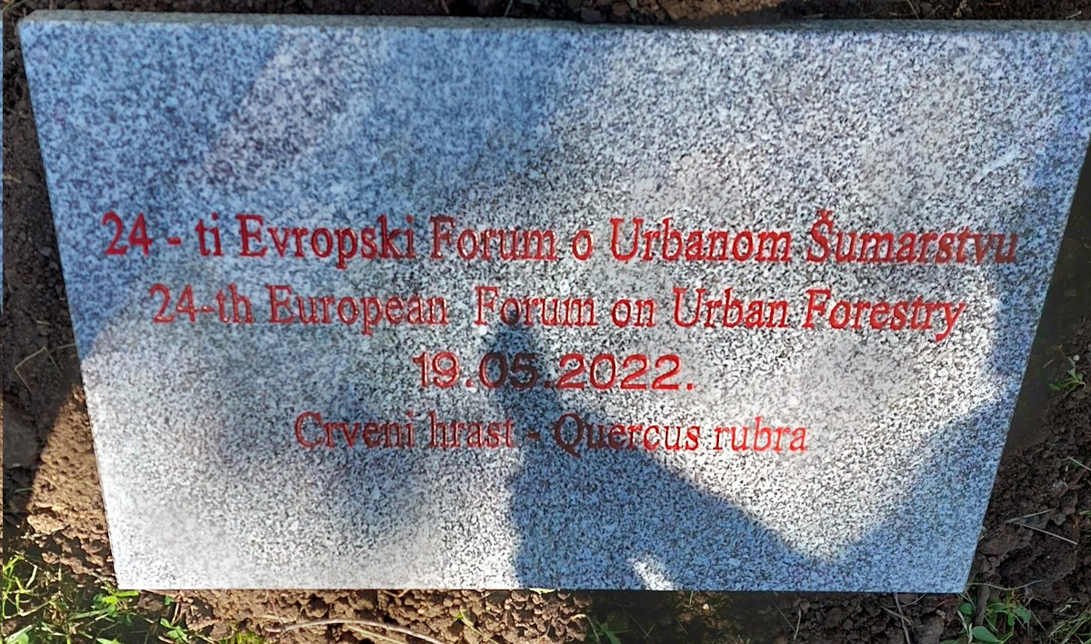 EFUrbanForestry's tweet photo. We planted a tree in the #FriendshipPark @beograd_rs, as all important visitors to @Serbia do. https://t.co/DWQUTS1AO4
