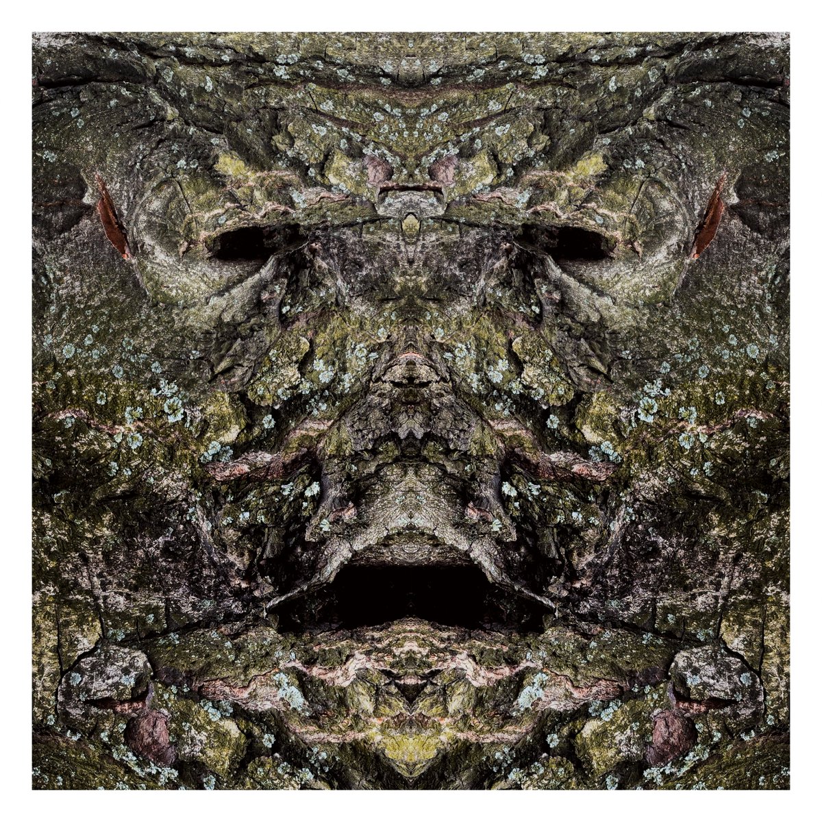 Started a new series "Forest Guard". Introducing the first guard. Frol – the old guard of the forest has the gift of persuasion, can cause thunderstorms. 
objkt.com/asset/KT1GtAHD…
#nftart