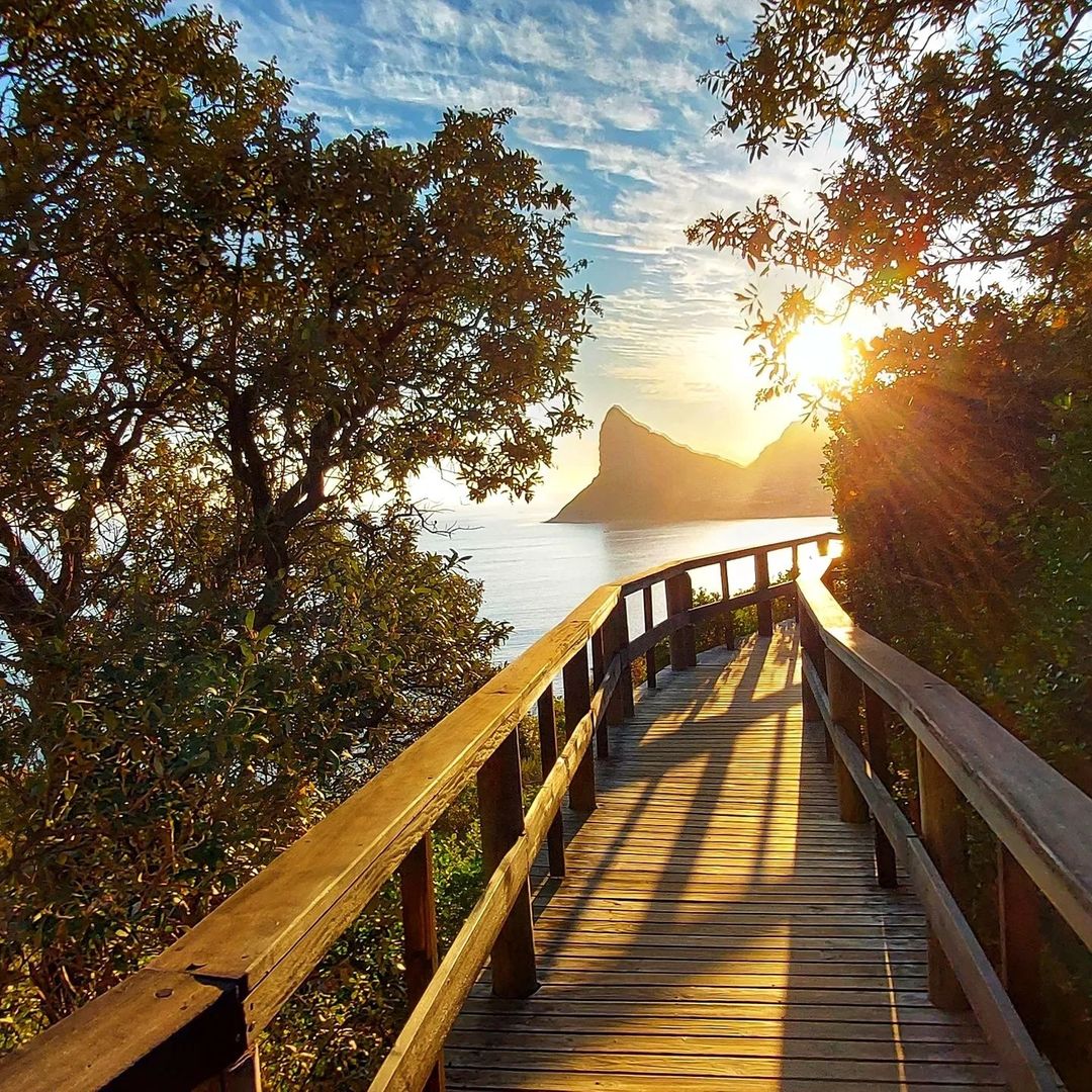 South African Tourism tweet media