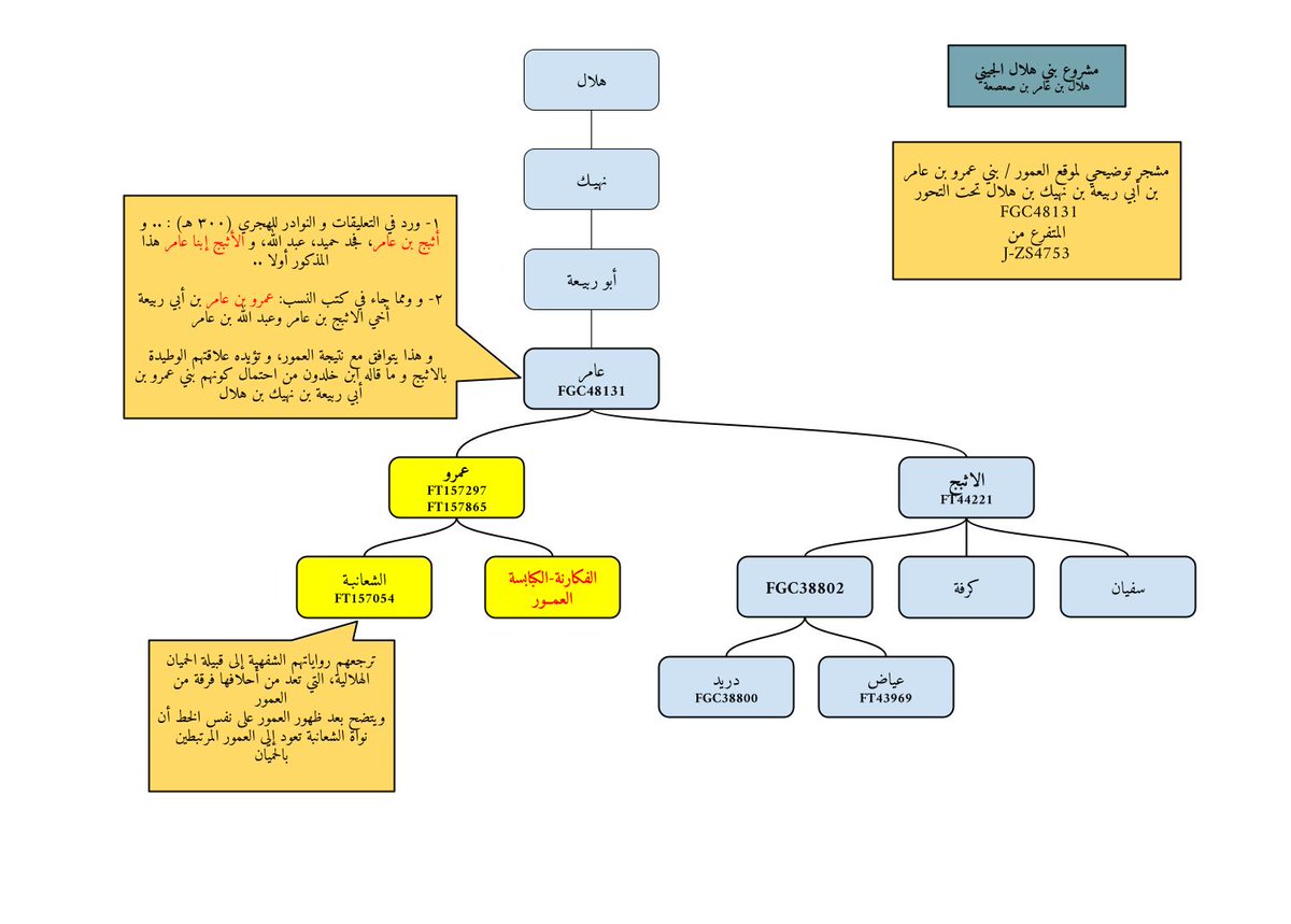 مشروع بني هلال الجيني tweet media