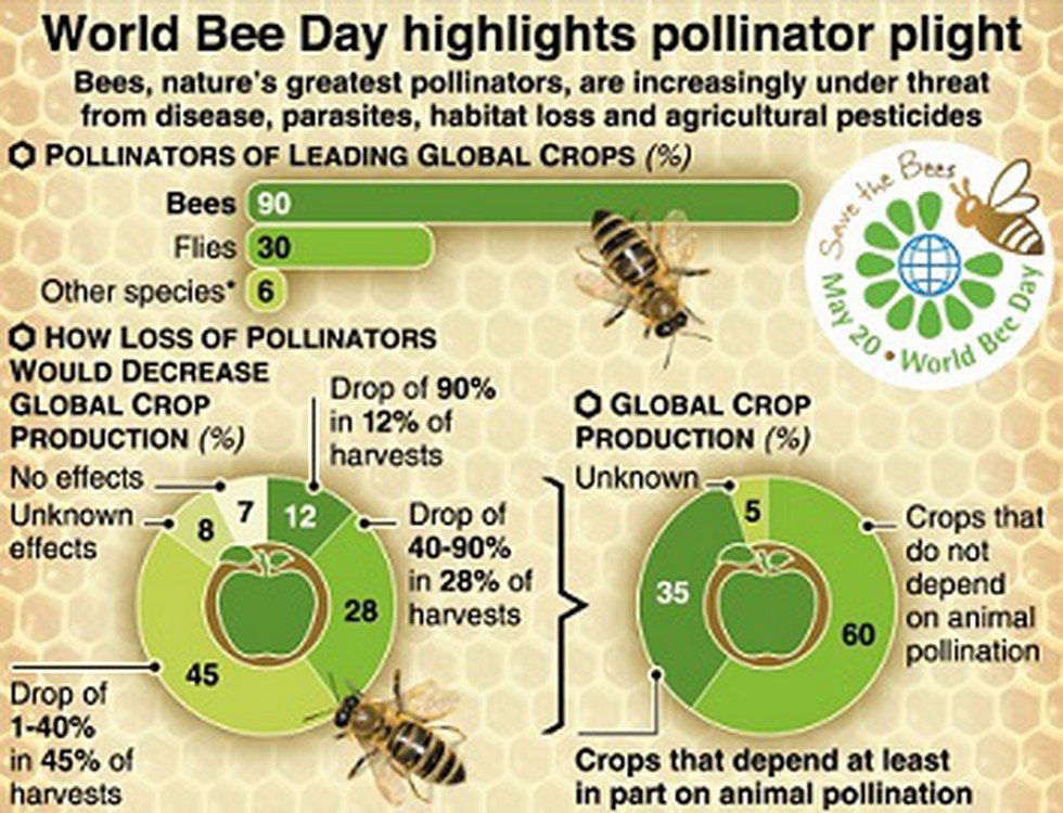 🐝HAPPY WORLD BEE DAY!🐝

Let's have a BeeTuber love fest! Tag bee Vtubers below you think we need to shower with love!

#VTuber #ENVtuber #VTuberEN #Vtubers #BeeTubers