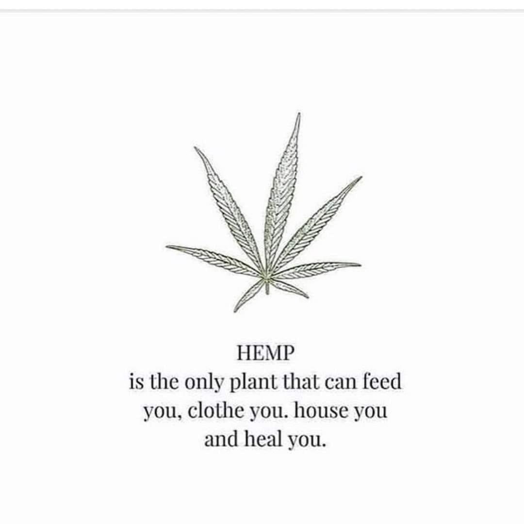 Ruby Deevoy tweet media