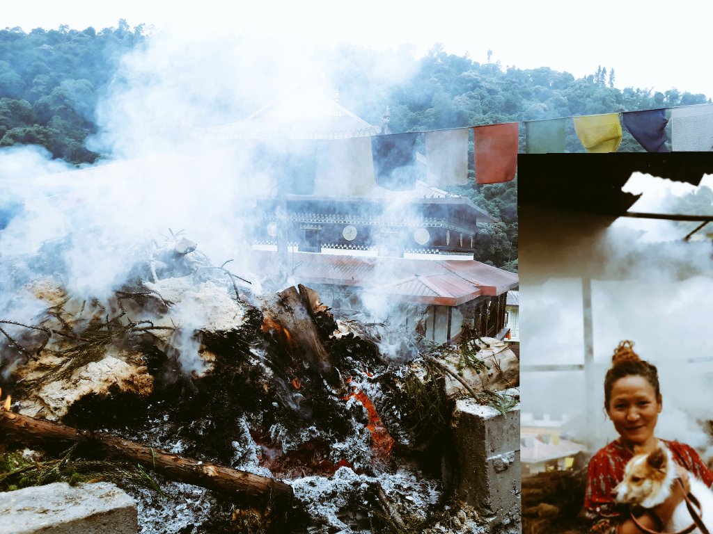 Bindu Subba tweet media