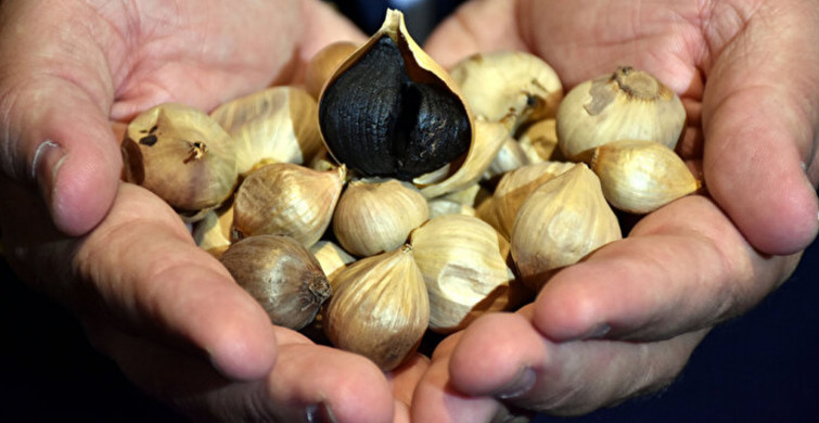 25 liralık Taşköprü sarımsağını siyaha çevirerek 2 bin avroya satıyor!

👉bit.ly/3G84kXB