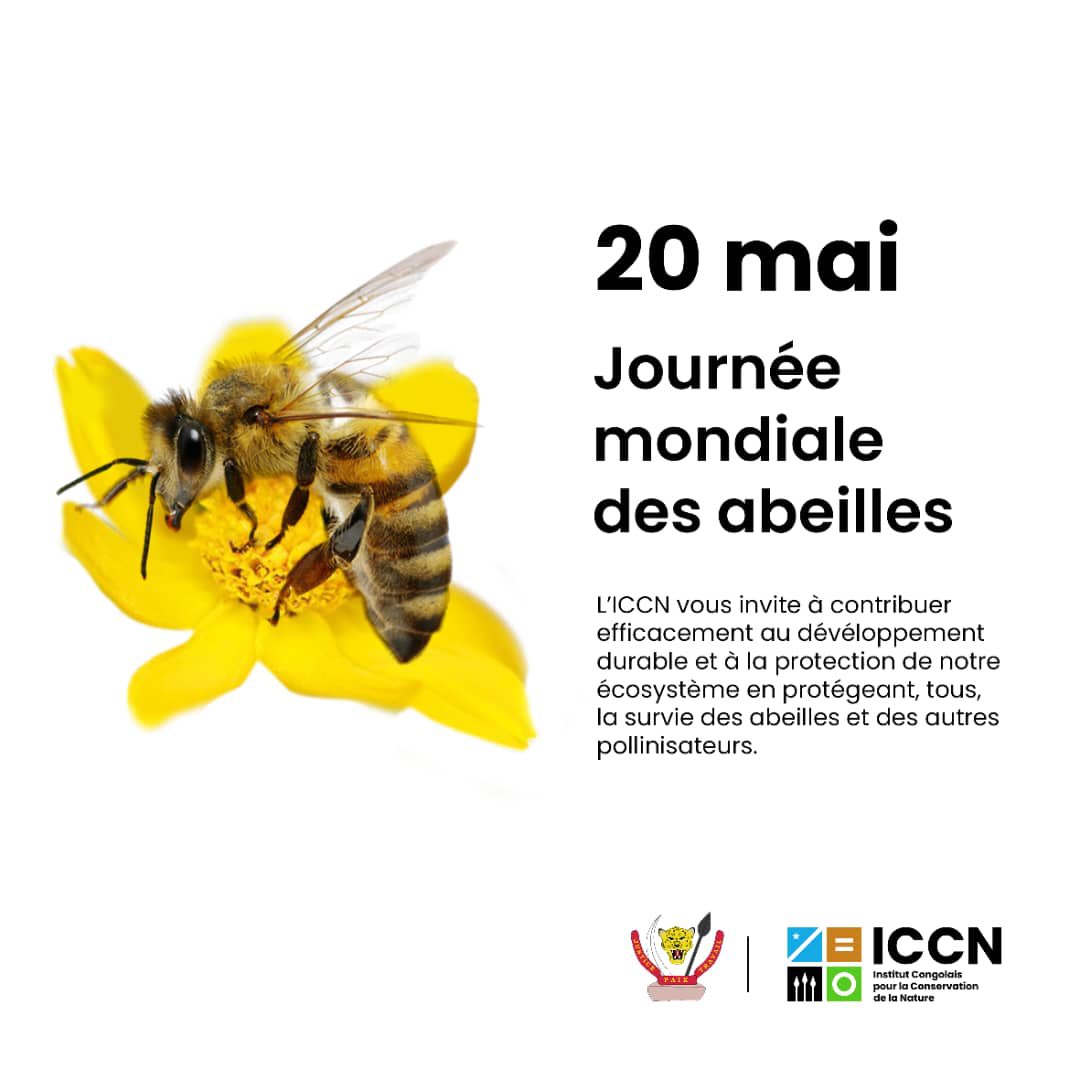 IccnRdc's tweet photo. https://t.co/GR0beKWJ2c