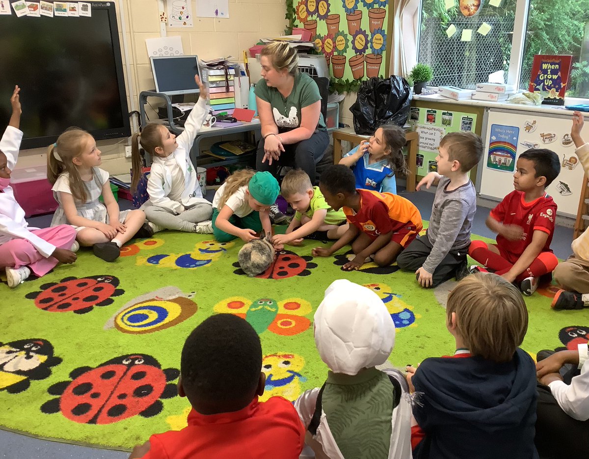 LittleStFrancis's tweet photo. Thank you to Harriet who came in to tell Year 1 all about her #Vocation about looking after and caring for animals. #MyVocation #WhoIsGodCallingYouToBe @BCPP__ @RCBirmingham @BhamDES https://t.co/EdSIeQS80D