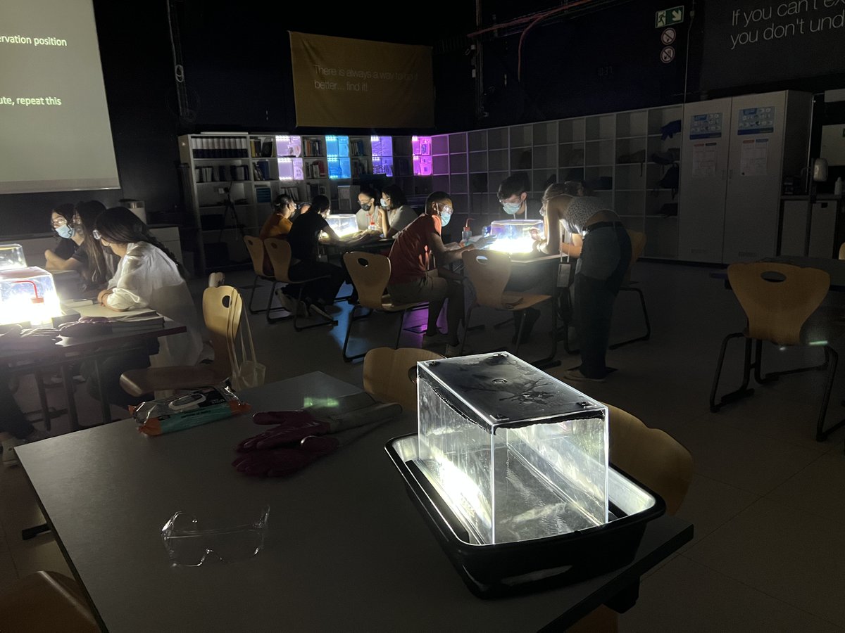 AnnecyEutopia's tweet image. Journée &quot;chambre à brouillard&quot; #SCoolLAB @CERN  avec les élèves du Lycée des Glières Annemasse. Ravie d&apos;en avoir profité pour tester ma petite chambre perso, qui poursuivra sa carrière au @LAPPCNRS pour des ateliers en petit groupes 🤓