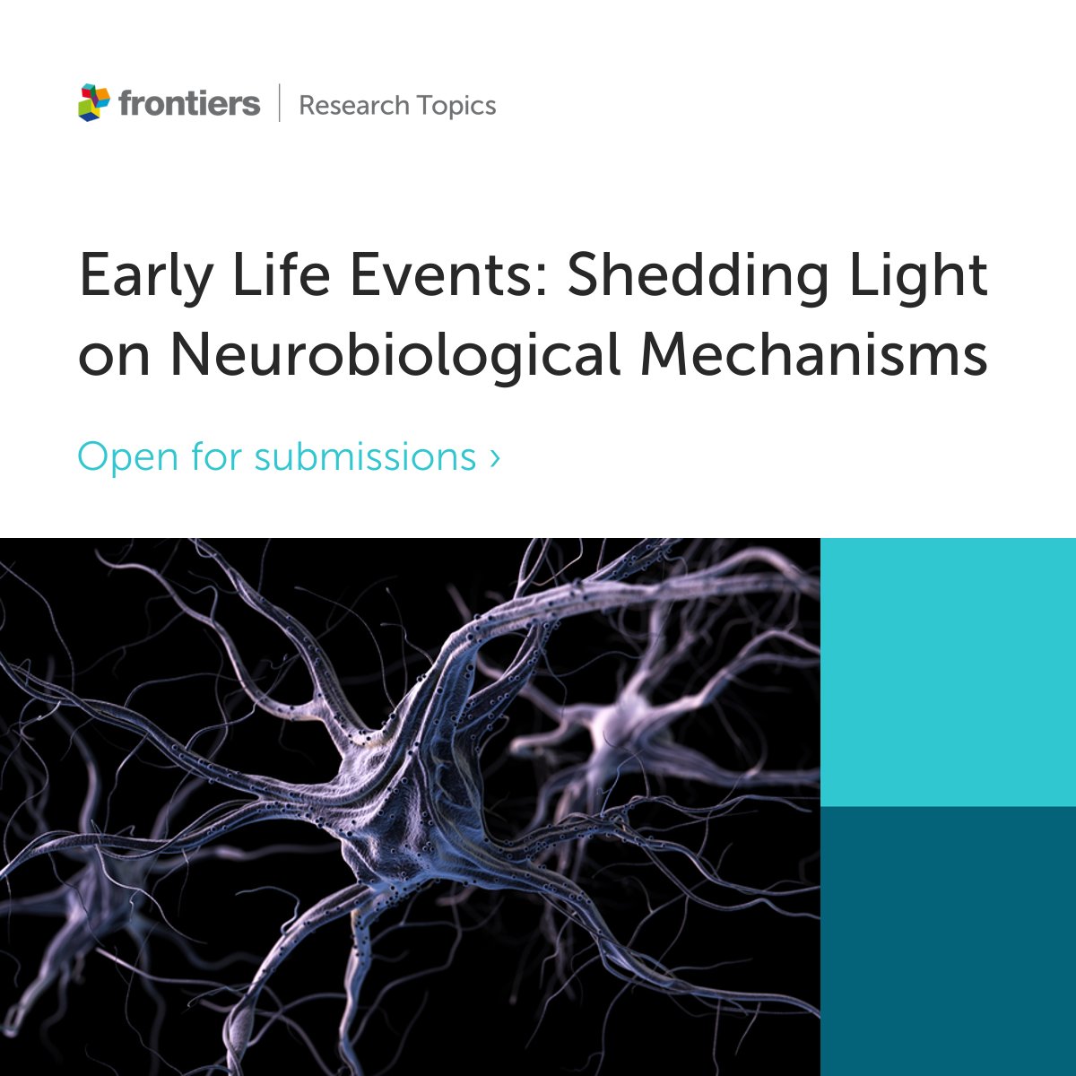 FrontNeurosci's tweet image. 🚨 Research Topic open for submissions! 🚨

We are excited to announce a new Topic on &apos;Early Life Events: Shedding Light on Neurobiological Mechanisms&apos;. This collection is edited by @RandrielyM  and more.

Get involved here 👉 fro.ntiers.in/ELEs

Deadline 10th October 2022.