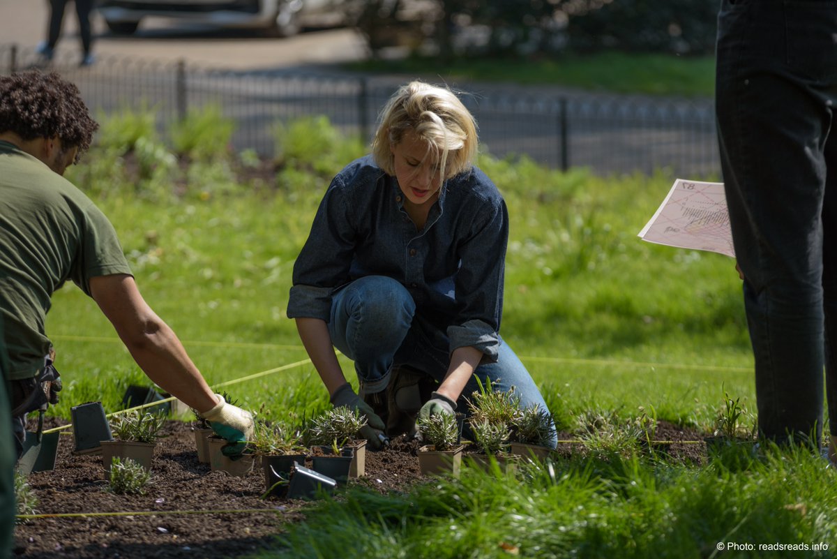 theroyalparks's tweet photo. The first of more than 4,400 plants of @daisyginsberg’s Pollinator Pathmaker for @SerpentineUK have started to be placed into the ground in Kensington Gardens 🌹 🌼 🌺
Find out more about the #PollinatorPathmaker garden at North Flower Walk, here ▶️ https://t.co/84YgBWJ3kY. https://t.co/evvsy1lSnU