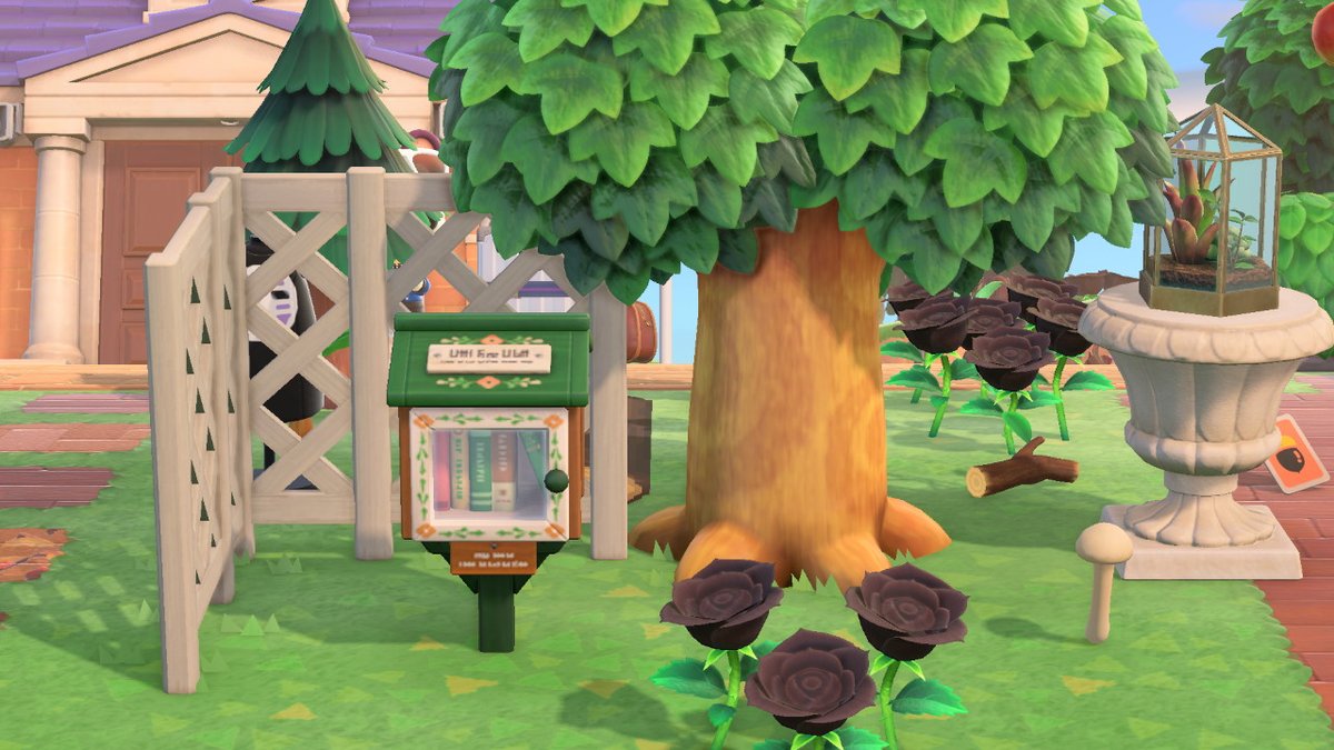 Sam in the Woods 🏕️ tweet media