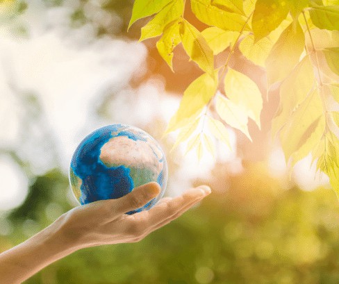 HollyHawkLove's tweet photo. Help Gaia/Earth heal!  Make changes to adapt to what is needed now.  
Message Channeled from Gaia's Akashic Records.

Watch the 3 min video 👉 https://t.co/Cf48ClXYD0

#Gaia #Energyworkers #Hollyhawkinsmarwood #Channeledmessage #Soulgenesis #Akashicrecords #Akashicrecordreader https://t.co/MypPYyFKWG