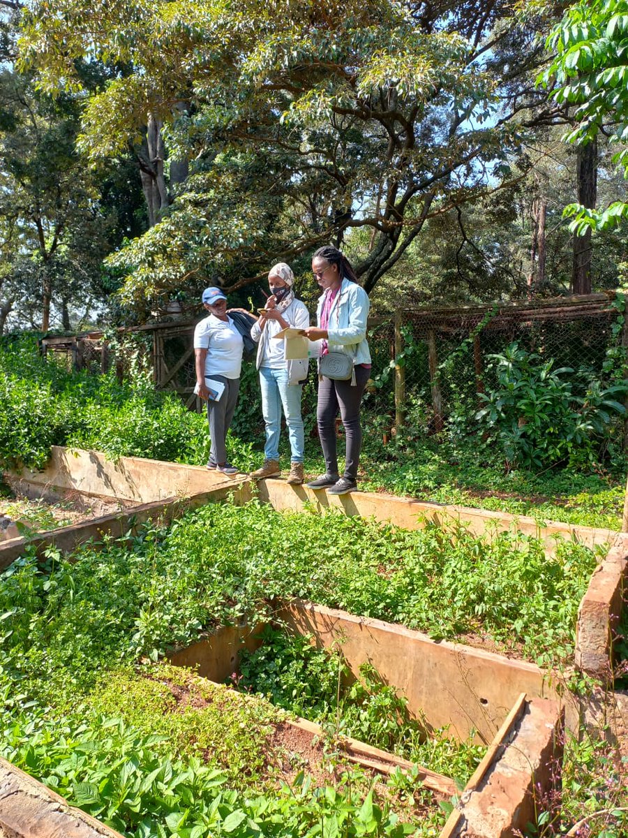 CityParkCFA's tweet photo. Day 3/4 was filled w/ perseverance and dedication by participants. Continuing the previous day's work it was more mapping and interviewing.
Stakeholders involved included @Arch_KE
@cityparkfriends @KombGreen among others

#cityparkcfa #CommunityEngagement #resourcemapping https://t.co/wPbihi9J9j