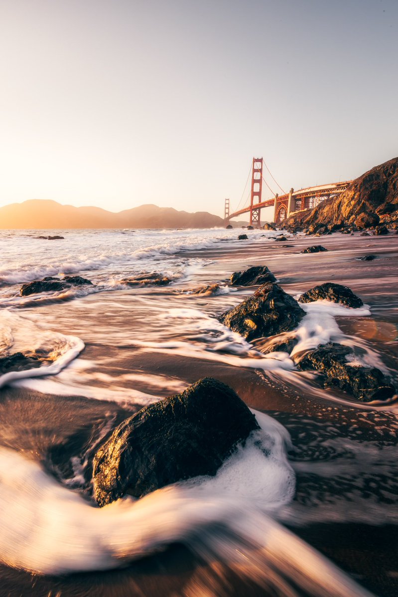 Nicole Zelkowitz tweet media