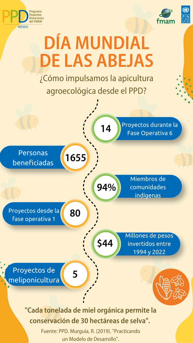 PPD México tweet media