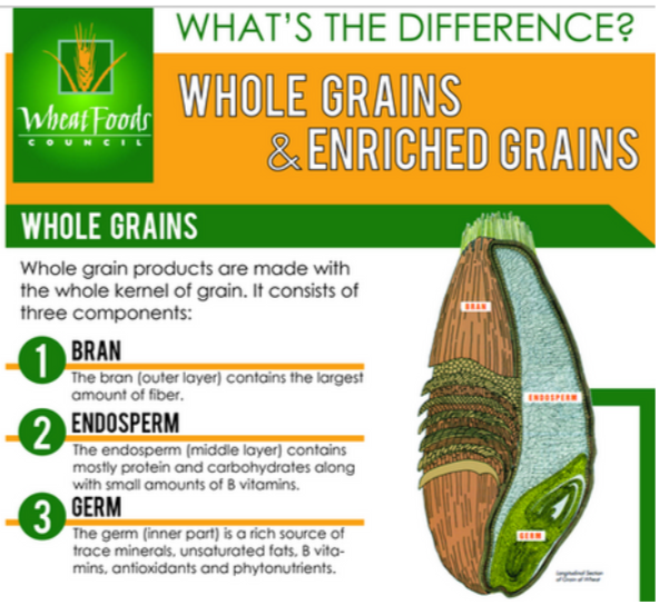 FoodFitExperts's tweet photo. Enriched flour is made from the finely ground endosperm of the wheat kernel. Any nutrients that are milled out are replaced during the enrichment or fortification process. https://t.co/ACJQKmjFZF @FoodFitExperts #FactFriday

#EnrichedFlour #Nutrients #Health #Carbs https://t.co/7EYwPRbqAG