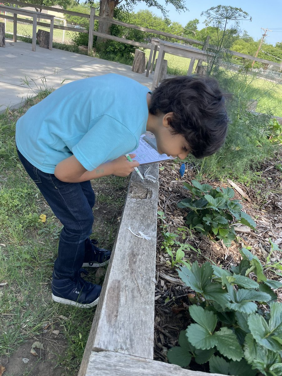 Amberly Carter tweet media