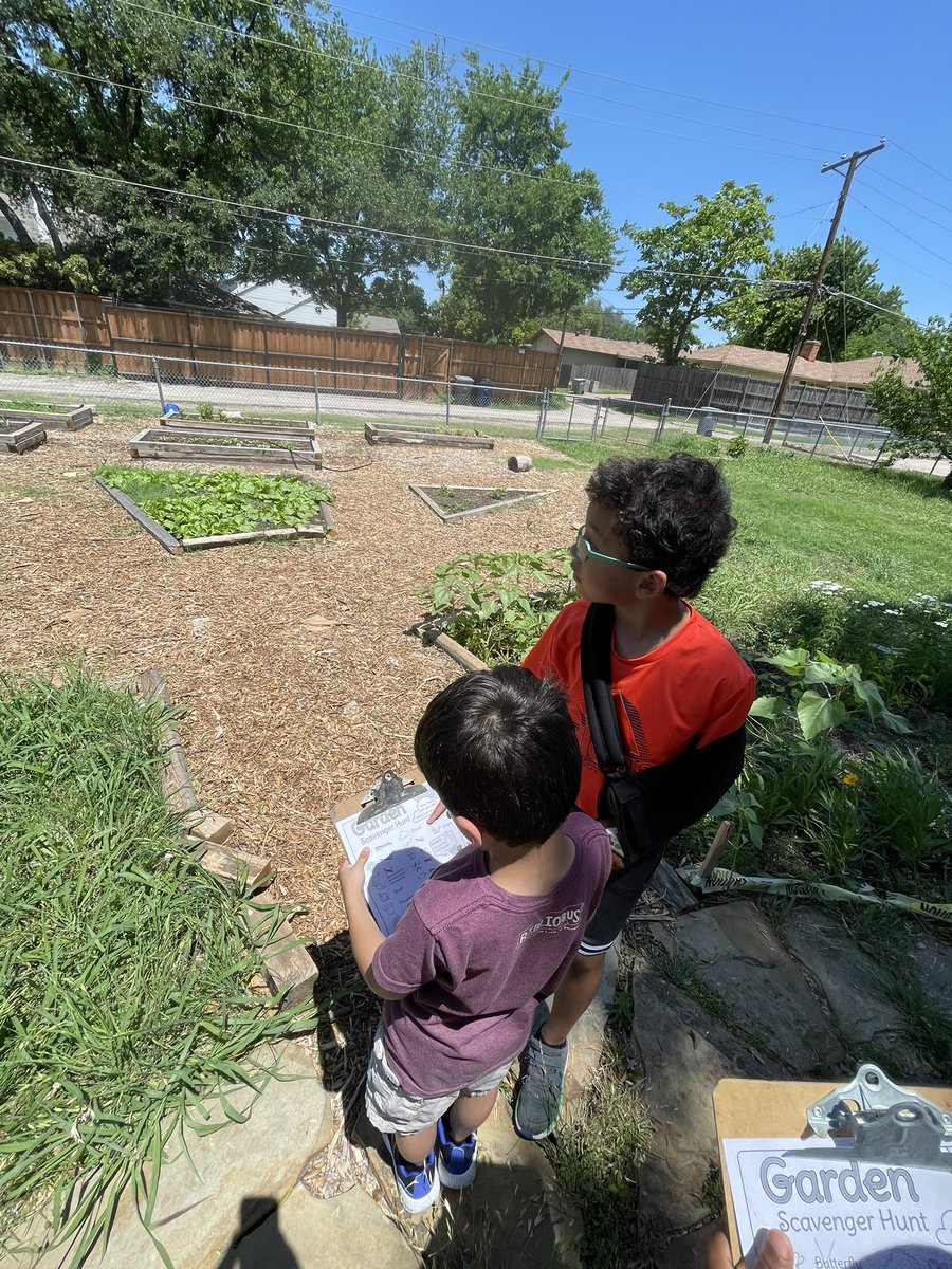 Amberly Carter tweet media