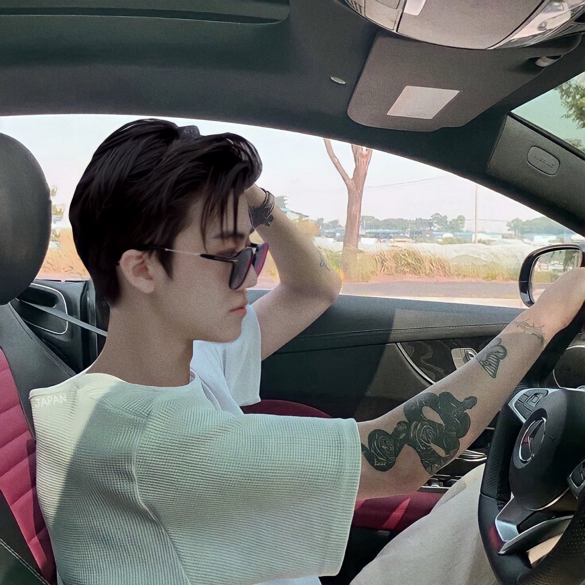 ขับรถอยู่แล้วเก๊กไม