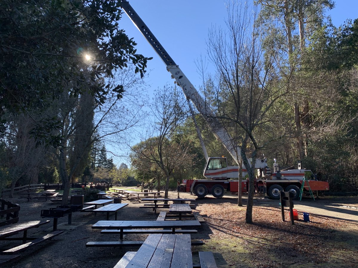 ArborTech1's tweet image. Not satisfied with work done by other companies? ArborTech Tree Care will make sure the job is done right arbortech1.com/hardscapes #TreePestControl #PestControlHayward #LandscapeConstructionRedwoodCity