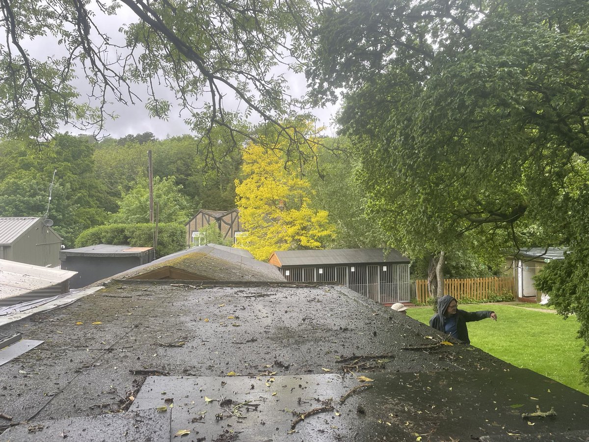 Granit Architecture + Interiors tweet media