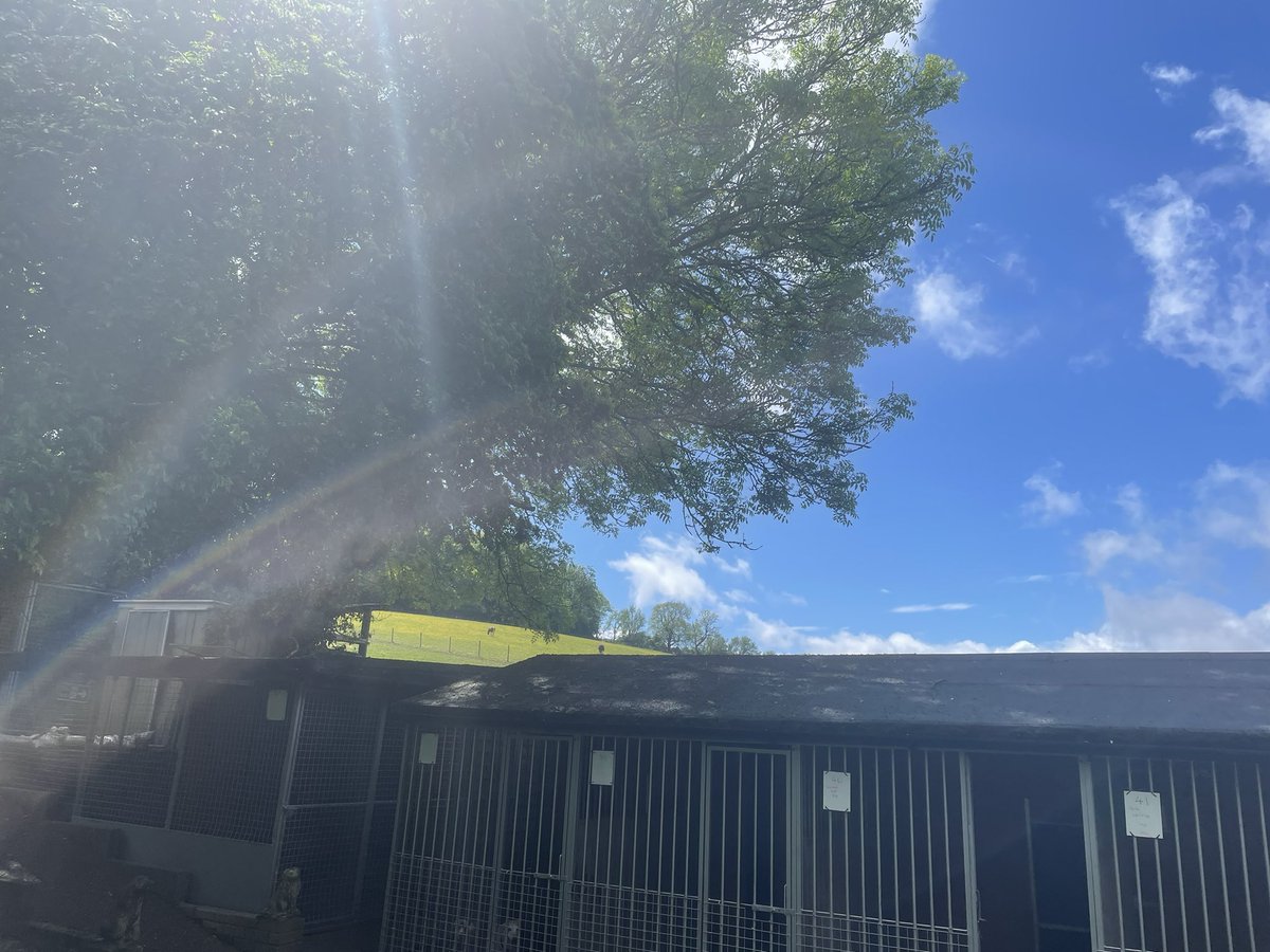 Granit Architecture + Interiors tweet media